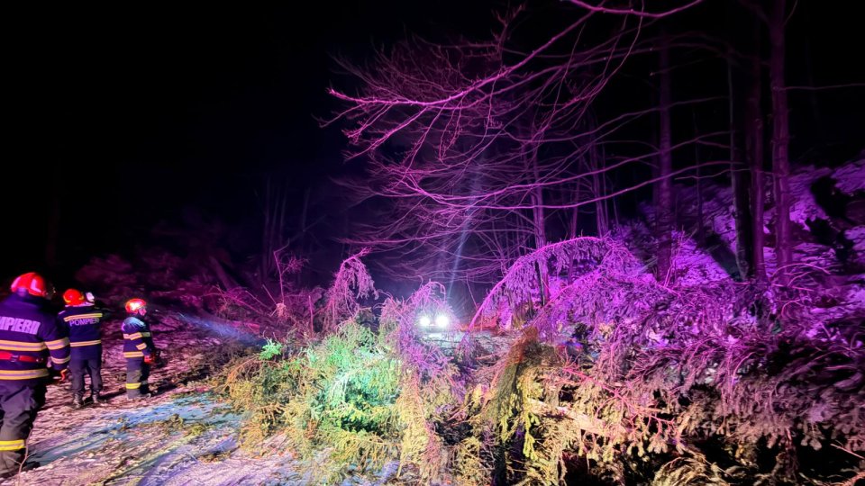 Intervenții ale pompierilor din cauza vântului puternic