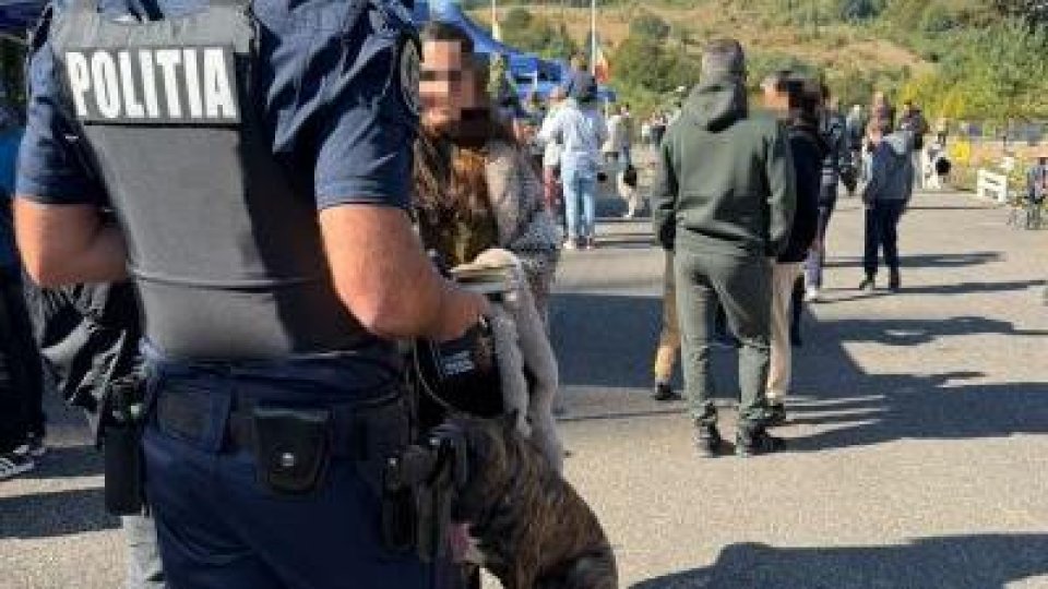 Dosare penale pentru agresiuni împotriva animalelor