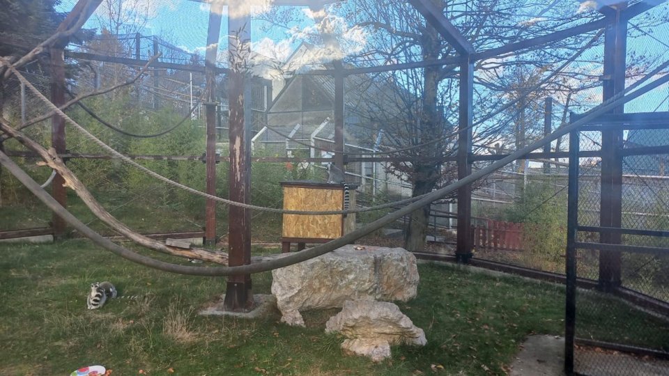 Grădina Zoologică va fi deschisă de Paște