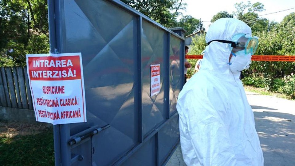 Pestă porcină africană în două zone din județ