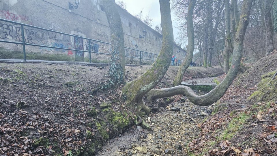 Pârâul Graft este deviat din zona După Ziduri, până luni