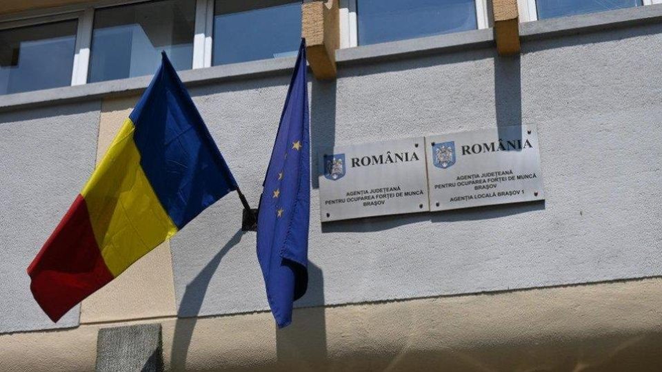 Programe de integrare în câmpul muncii organizate de AJOFM