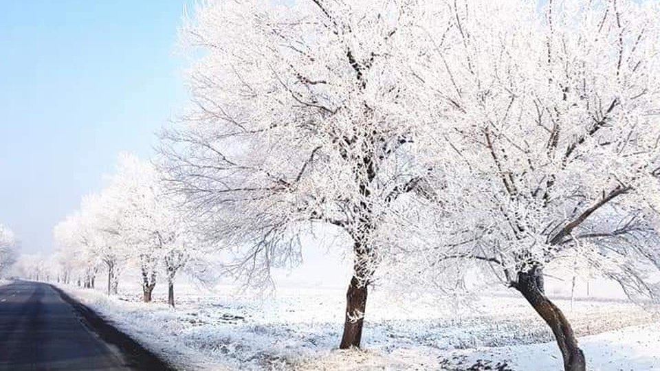 Vremea se încălzeşte uşor începând cu acest sfârşit de săptămână
