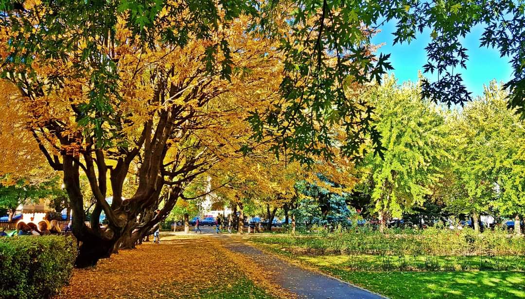 Parcul ”Nicolae Titulescu” Brașov /