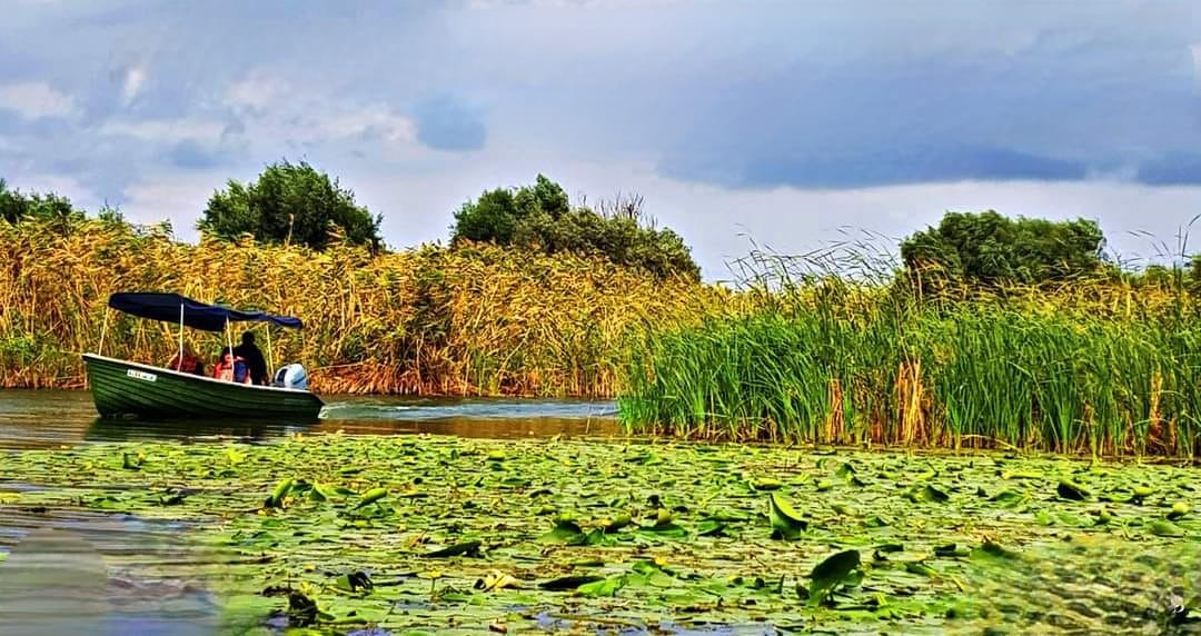 Delta Dunării /