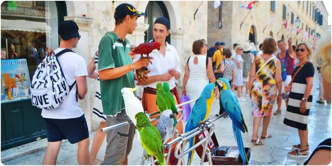 Strada Stradun / Dubrovnik / Jurnal de călătorie /