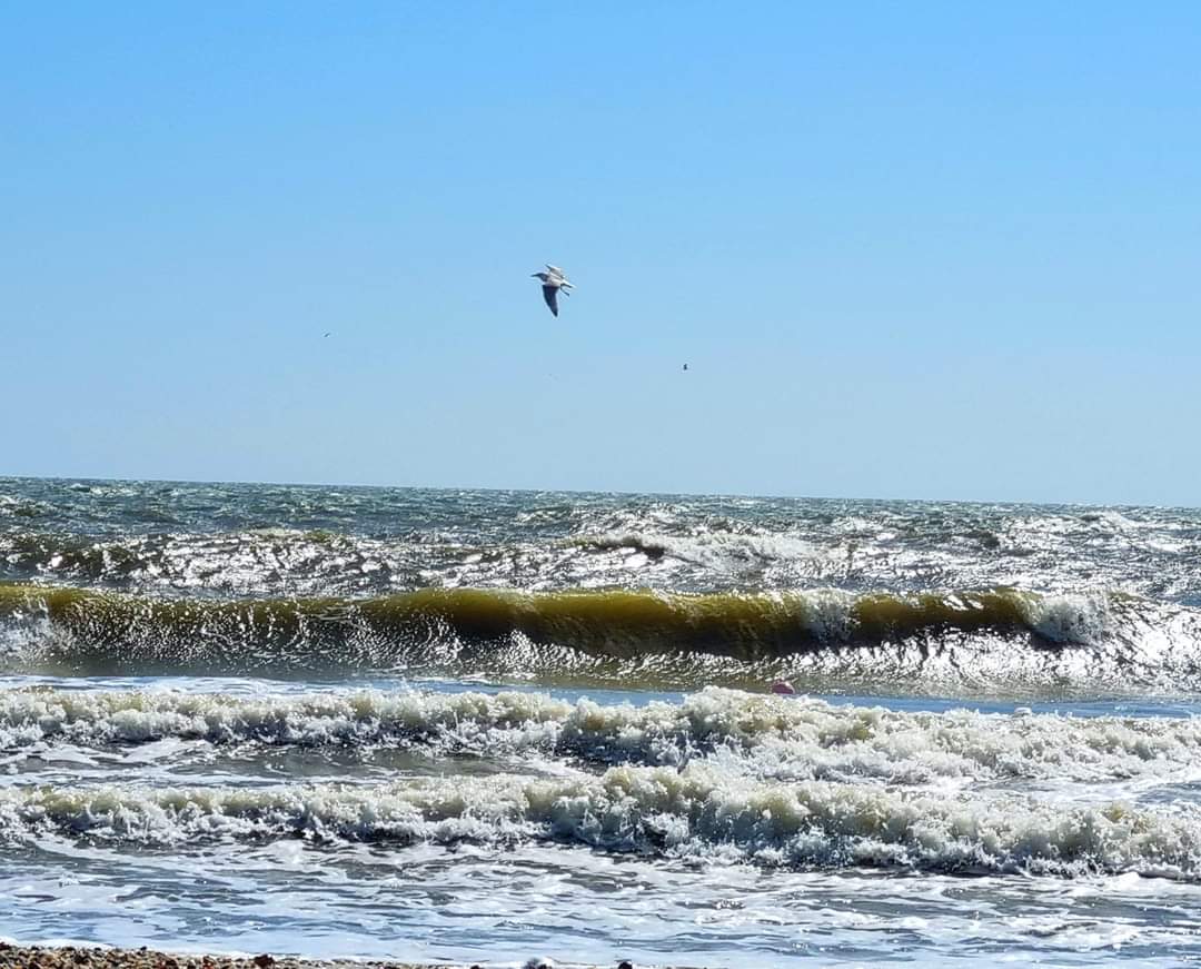 Marea Neagră, Gura Portiței