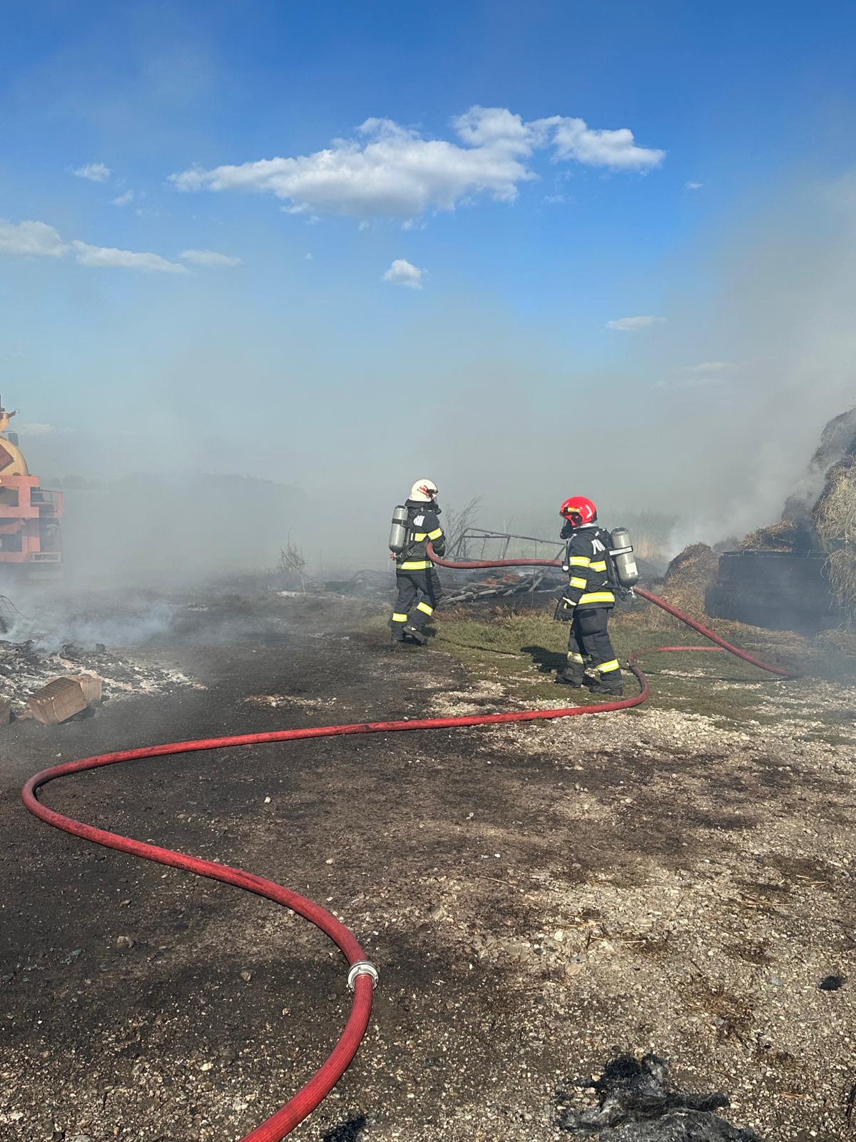 Incendiu fermă Codlea /