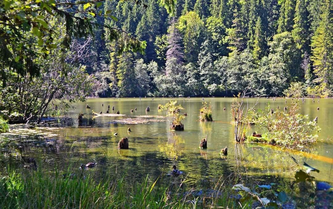 Lacul Roșu /