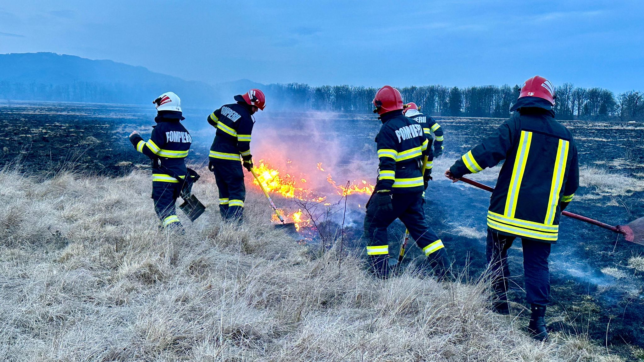 Incendiu de vegetație /