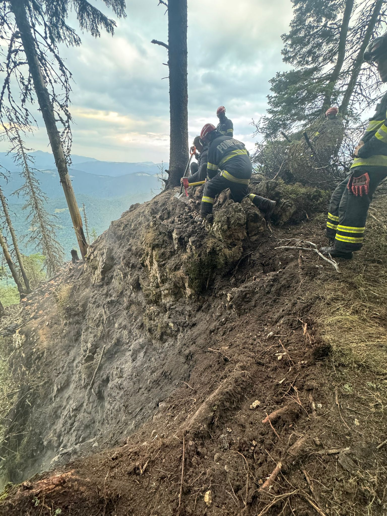 Incendiu de vegetație /