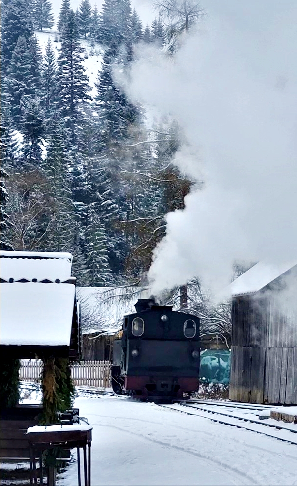 Mocănița Huțulca / Bucovina /