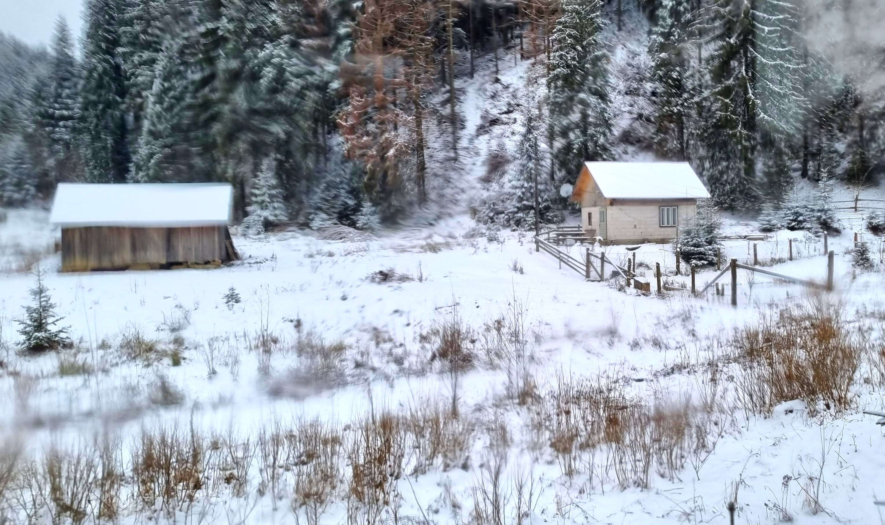 Mocănița Huțulca / Bucovina /