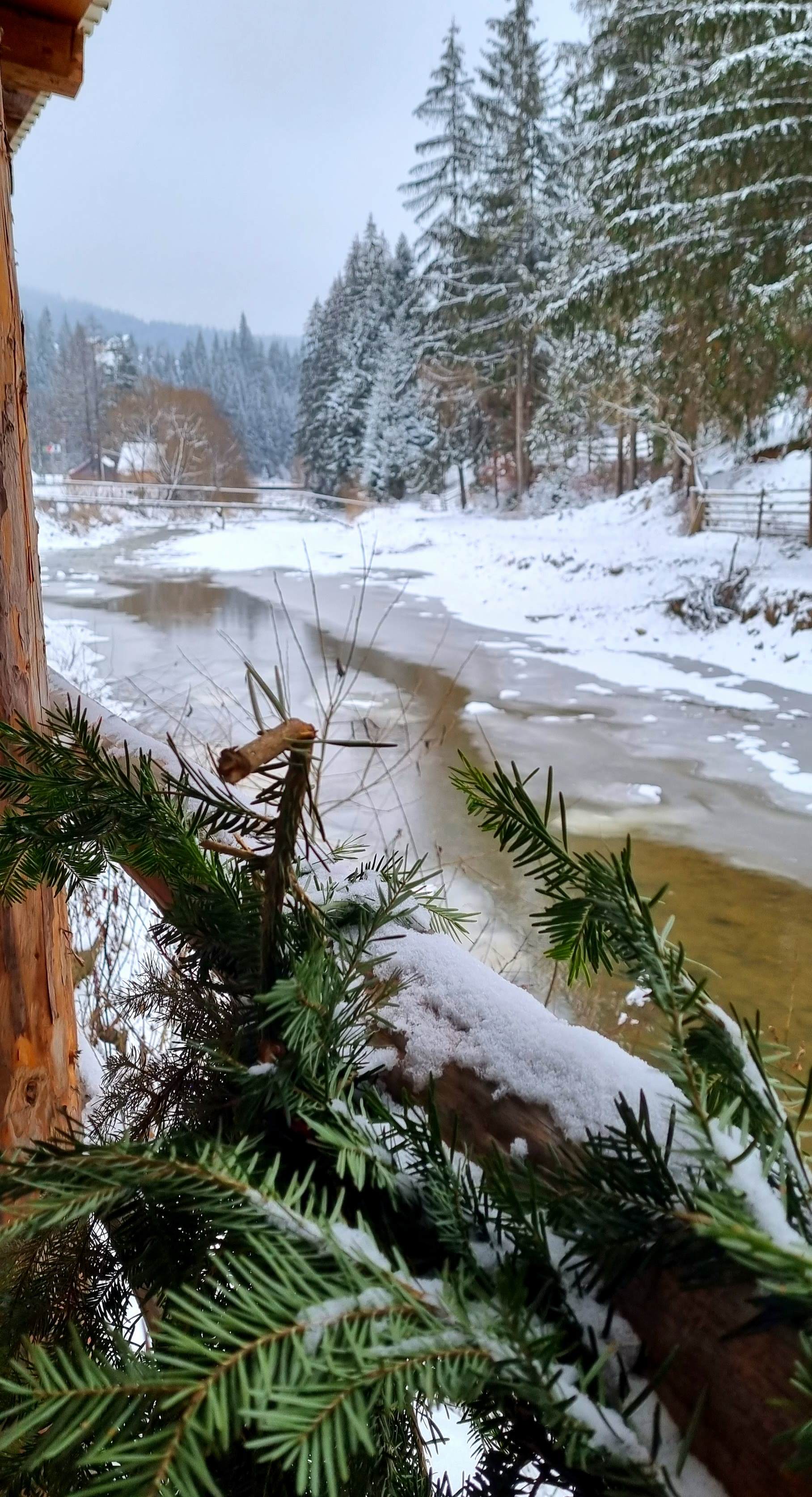 Mocănița Huțulca / Bucovina /