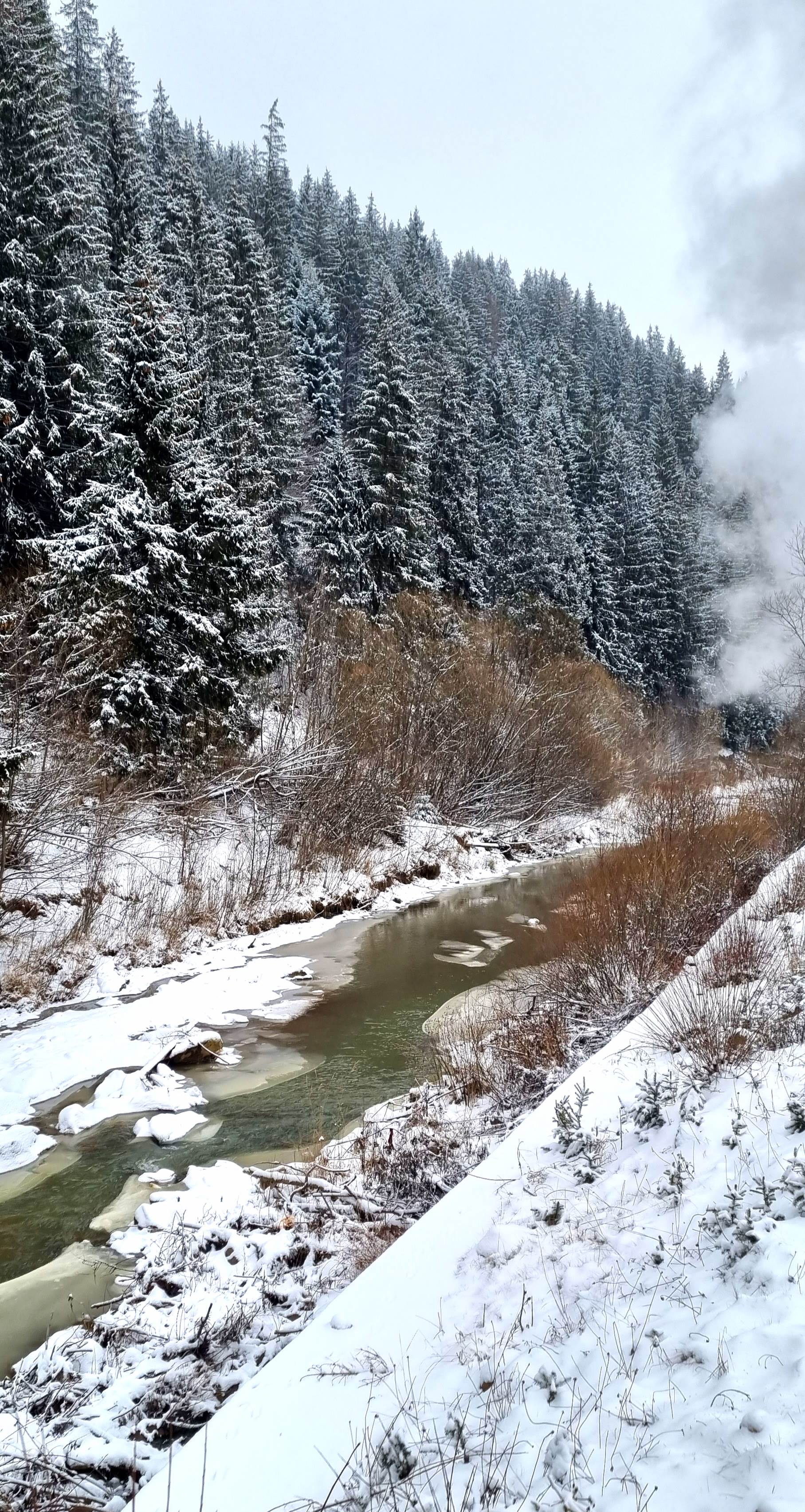 Mocănița Huțulca / Bucovina /