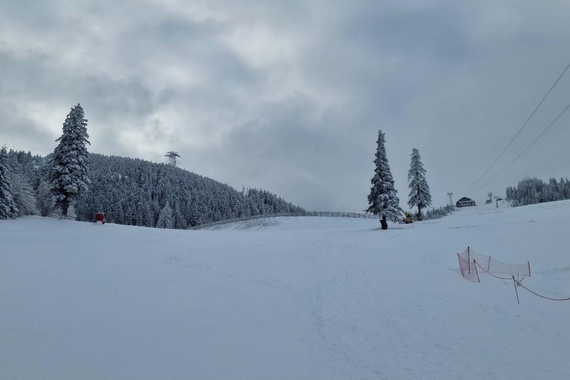 FOTO: COSTI HODAȘ